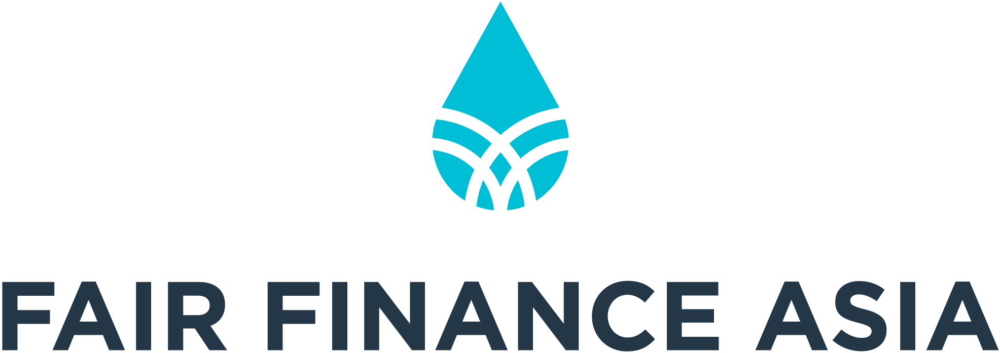 Fair Finance Asia (FFA)