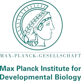 Max Planck Institute for Developmental Biology