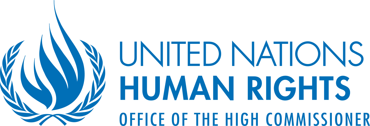 United Nations High Commissioner for Human Rights