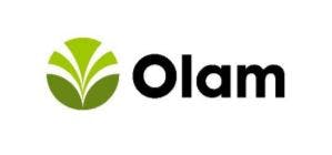 Olam 