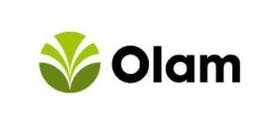Olam