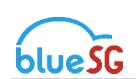 BlueSG