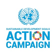 UN SDG Action Awards