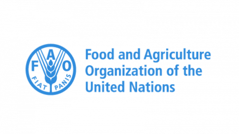 Food and Agriculture Organization