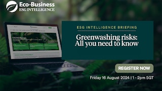 Greenwashing risks: All you need to know