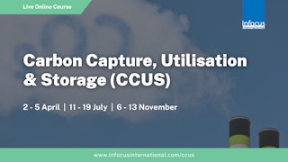 Carbon Capture, Utilisation and Storage (CCUS) November Virtual Training