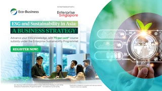 ESG and sustainability in Asia: A business strategy
