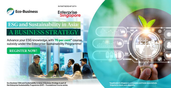 ESG and Sustainability in Asia: A Business Strategy