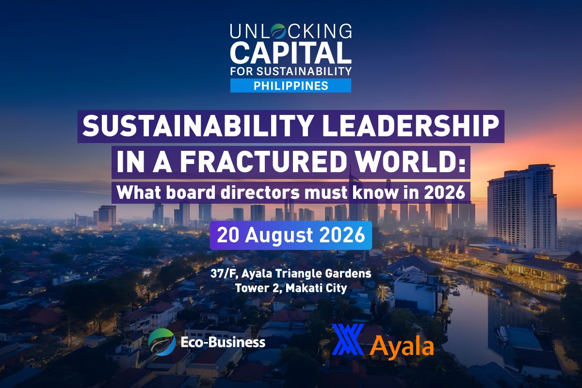 Sustainability leadership in a fractured world: What board directors must know in 2026