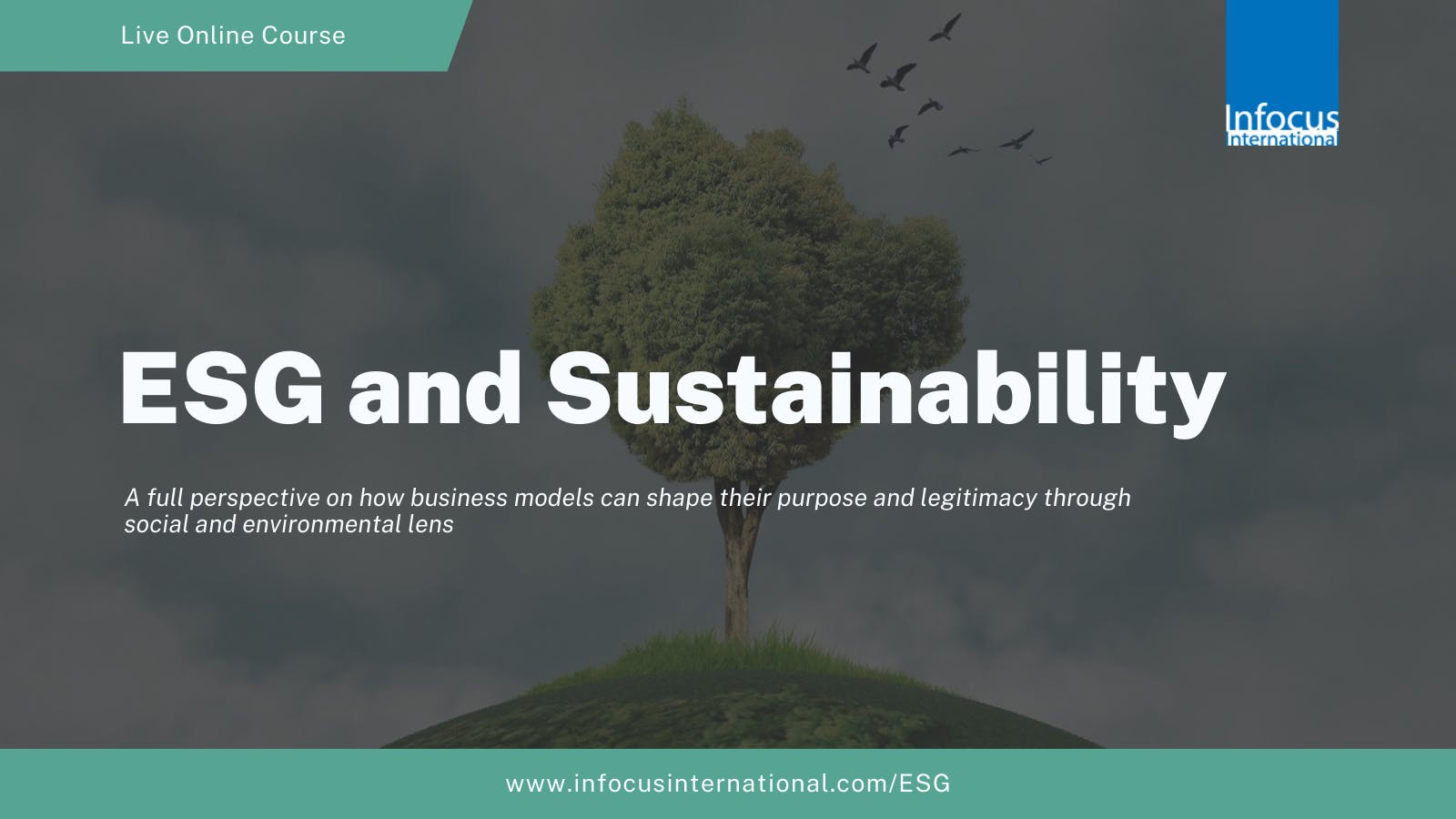 ESG and Sustainability - Jul 2026