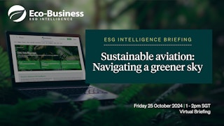 Sustainable aviation: Navigating a greener sky
