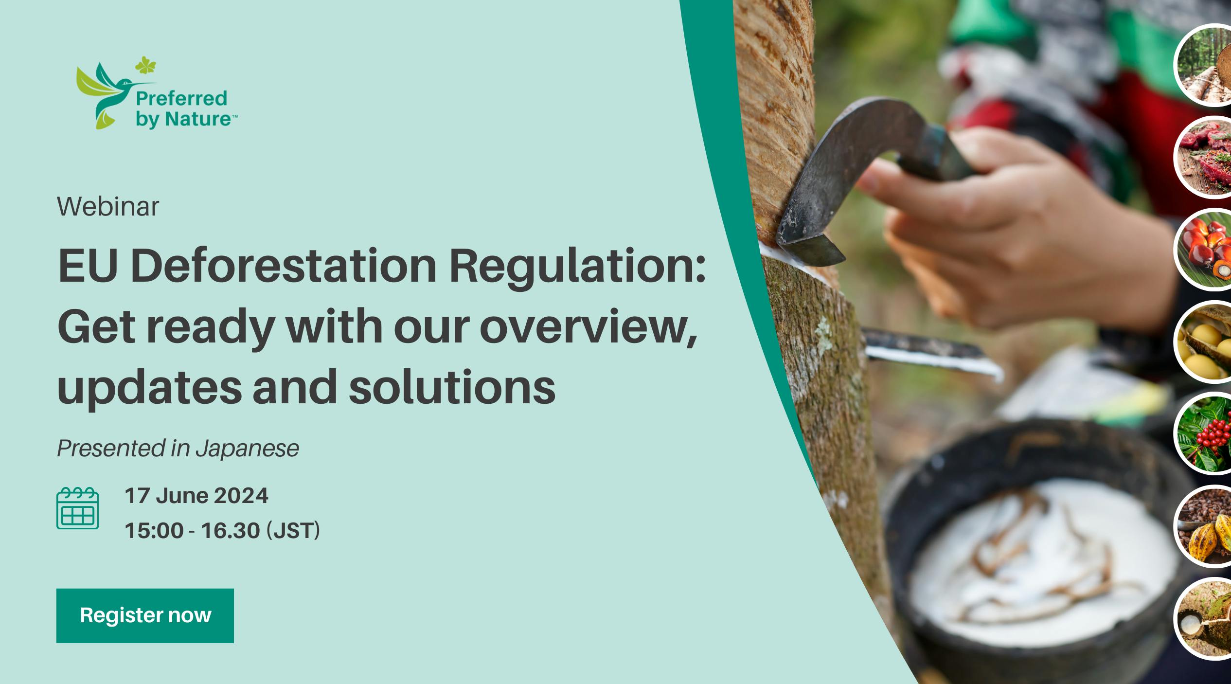 [Webinar] EU Deforestation Regulation: Get ready with our overview, updates and solutions