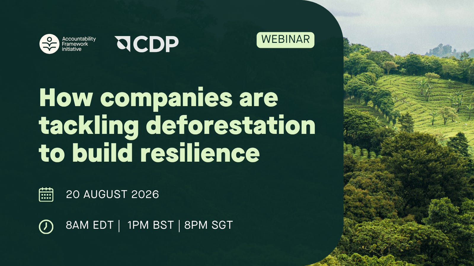 How companies are tackling deforestation to build resilience