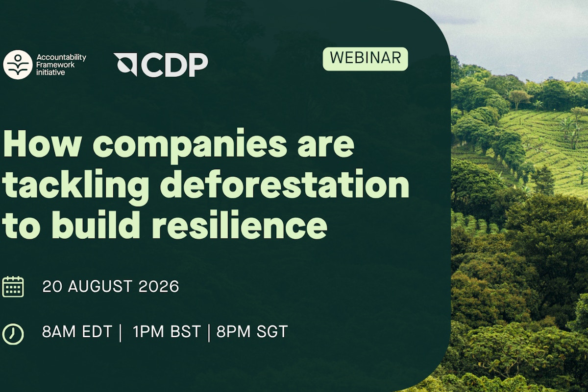 How companies are tackling deforestation to build resilience