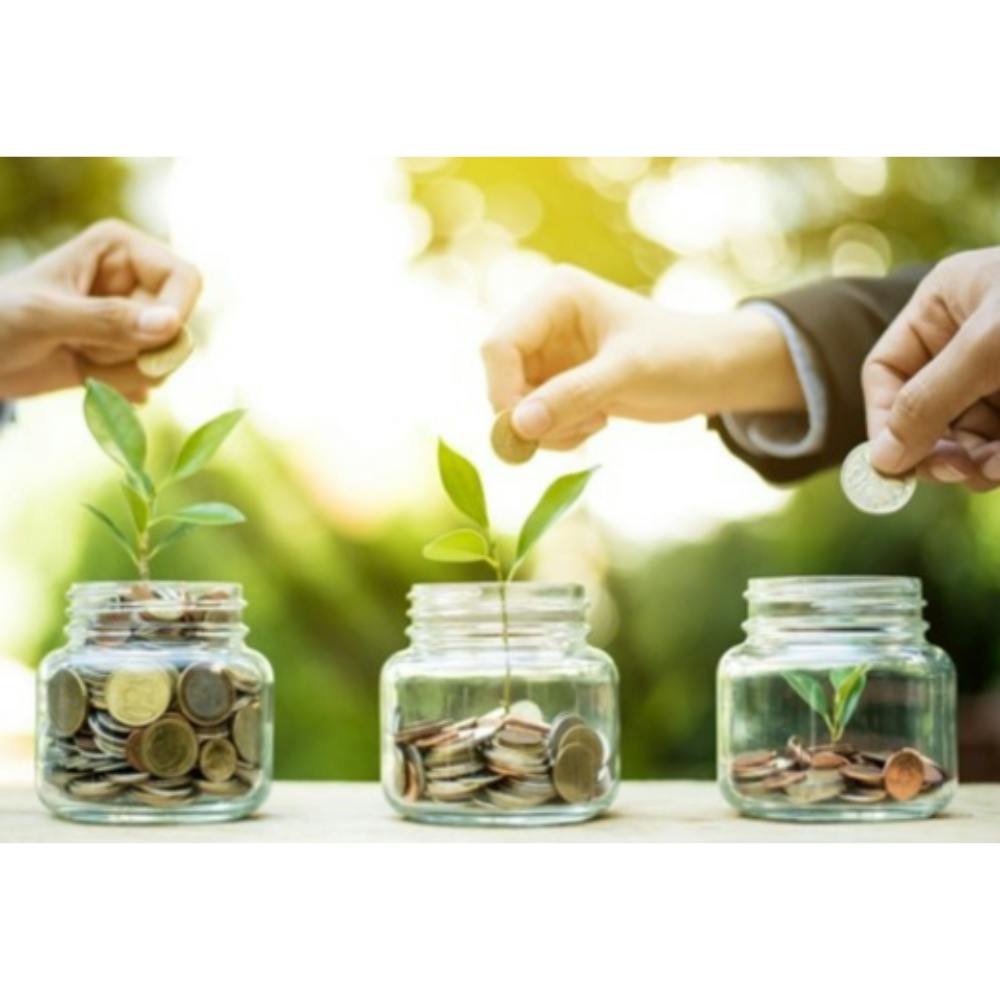 [Webinar] Greening Climate Finance: How Digital Financial Technology Drives Decarbonisation