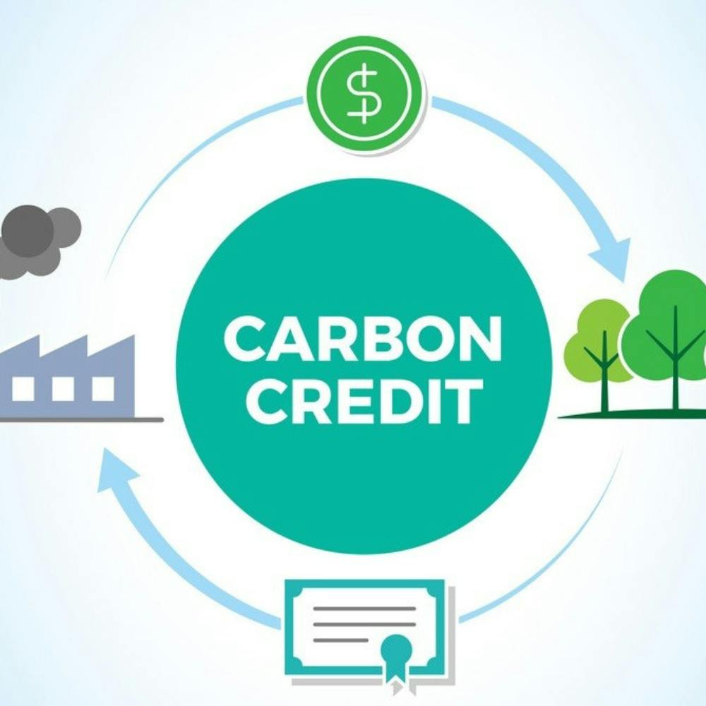 [Workshop] Navigating the Singapore Carbon Credit Landscape for Sustainable Impact