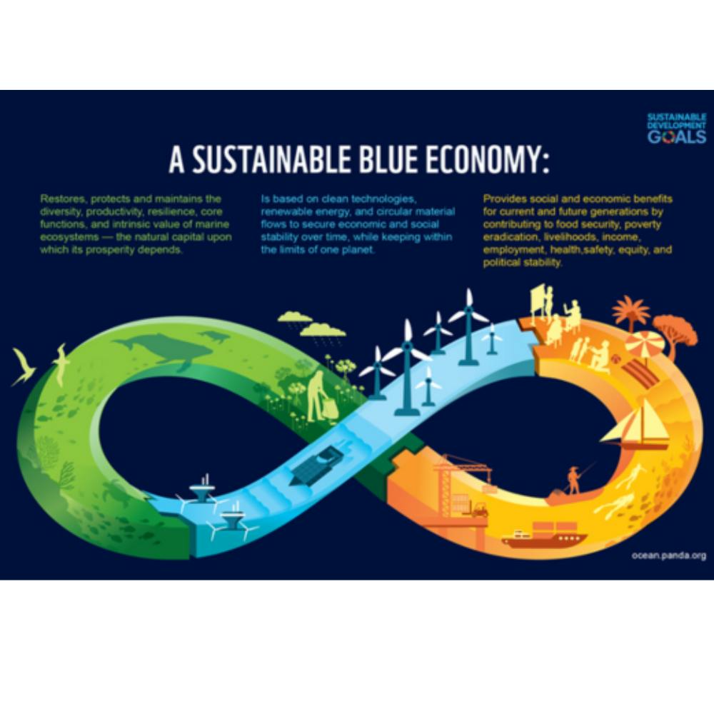 [Webinar] The Blue Economy: Sustainable Coastal, Marine, and Offshore Development