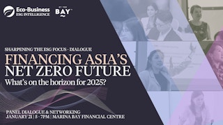Panel dialogue: Financing Asia’s net zero future — What's on the horizon for 2025?
