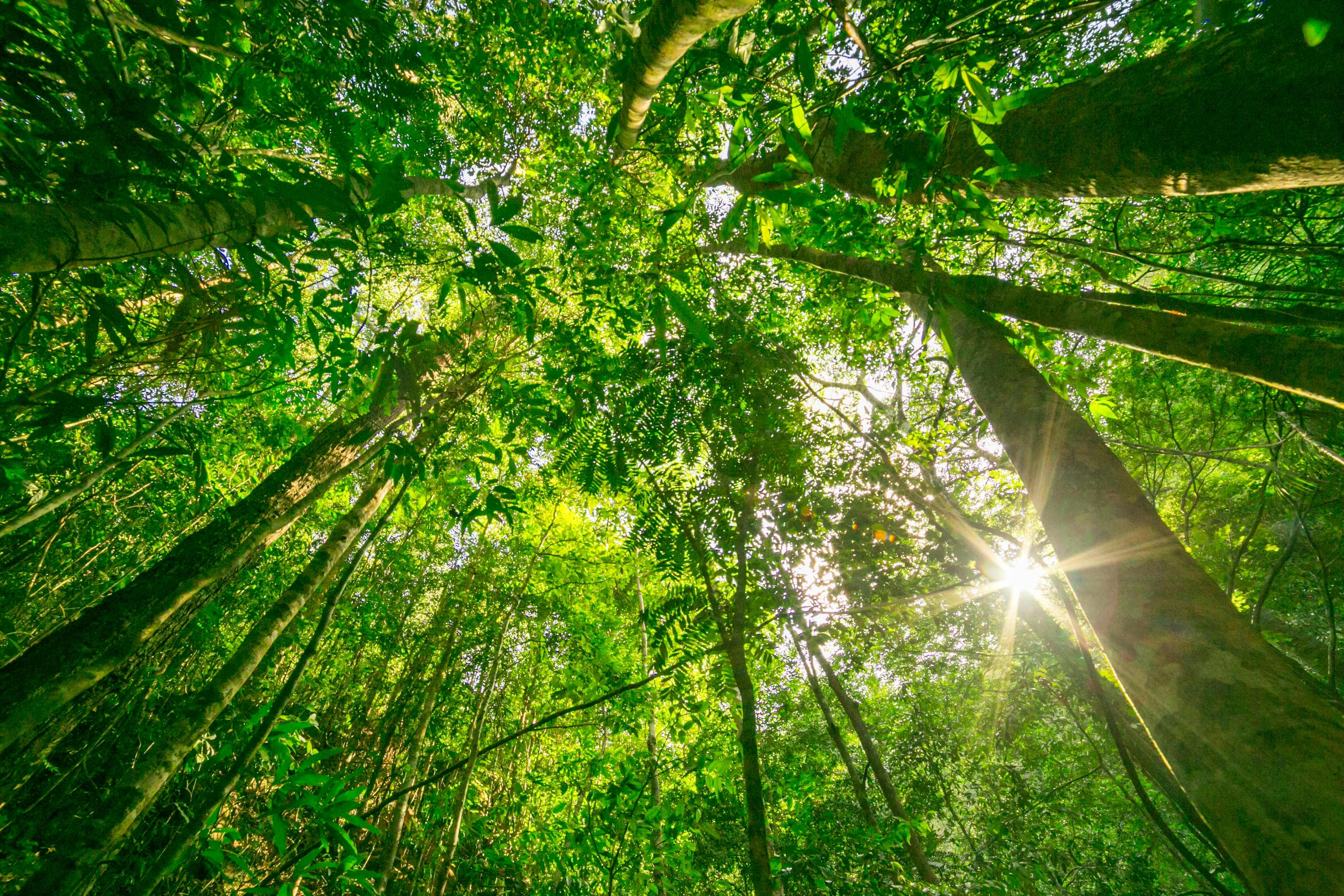 Strengthening Corporate Governance with ISO 14001 and Integrated Management Systems