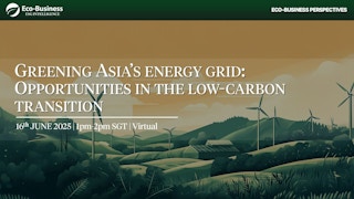 Greening Asia’s energy grid: Opportunities in the low-carbon transition