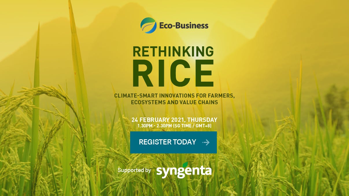 Rethinking Rice: Climate-smart innovations for farmers, ecosystems and value chains