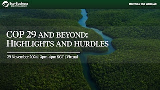 COP29 and beyond: Highlights and hurdles