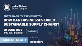 Sustainability TrendsWatch: How can businesses build sustainable supply chains?