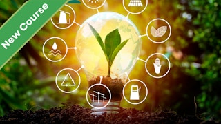Online Certificate in Renewable Energy Fundamentals: Τhe Path to Net Zero