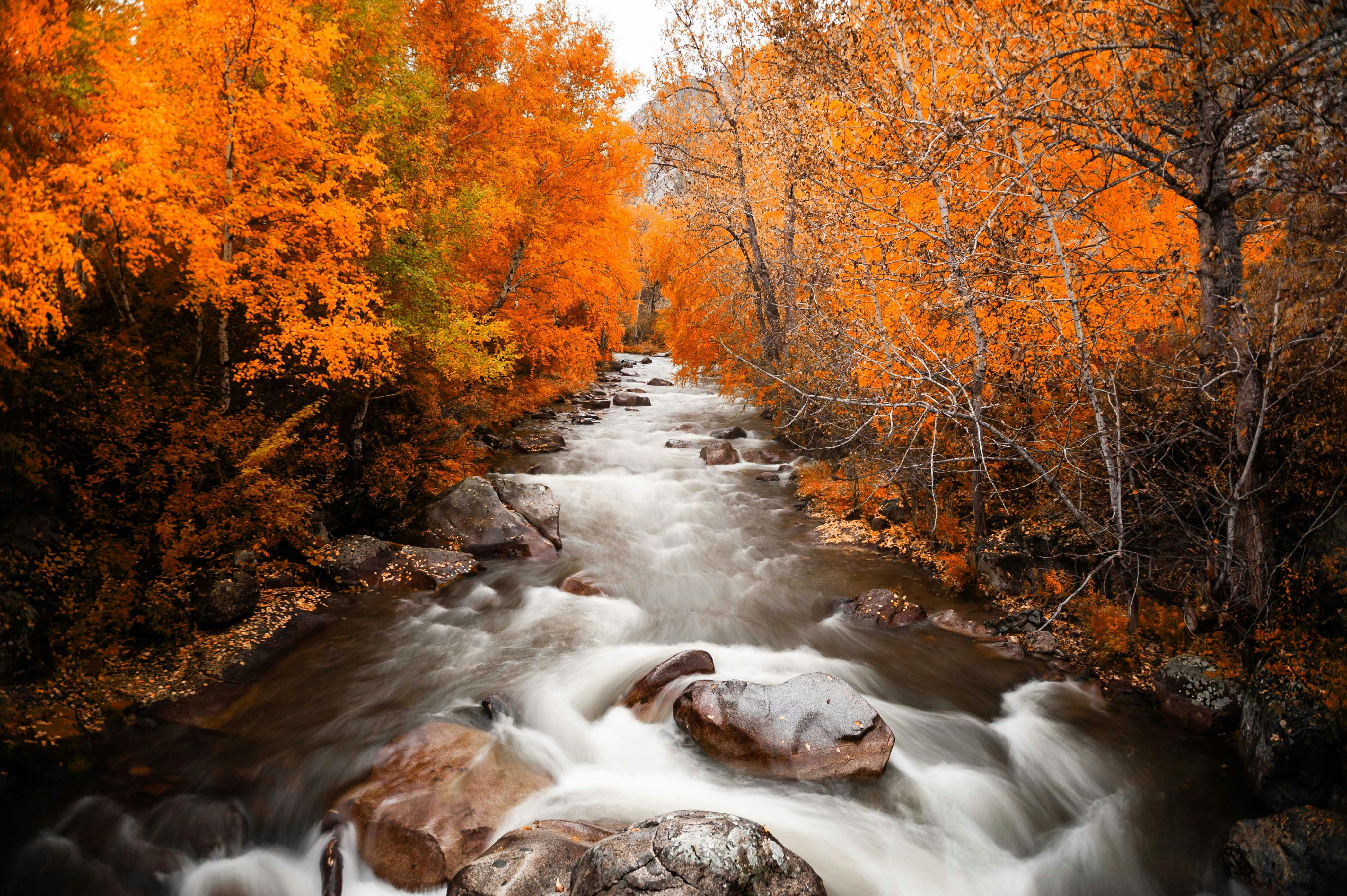 ISO 14001:2026 (FDIS) Transition Training – Online