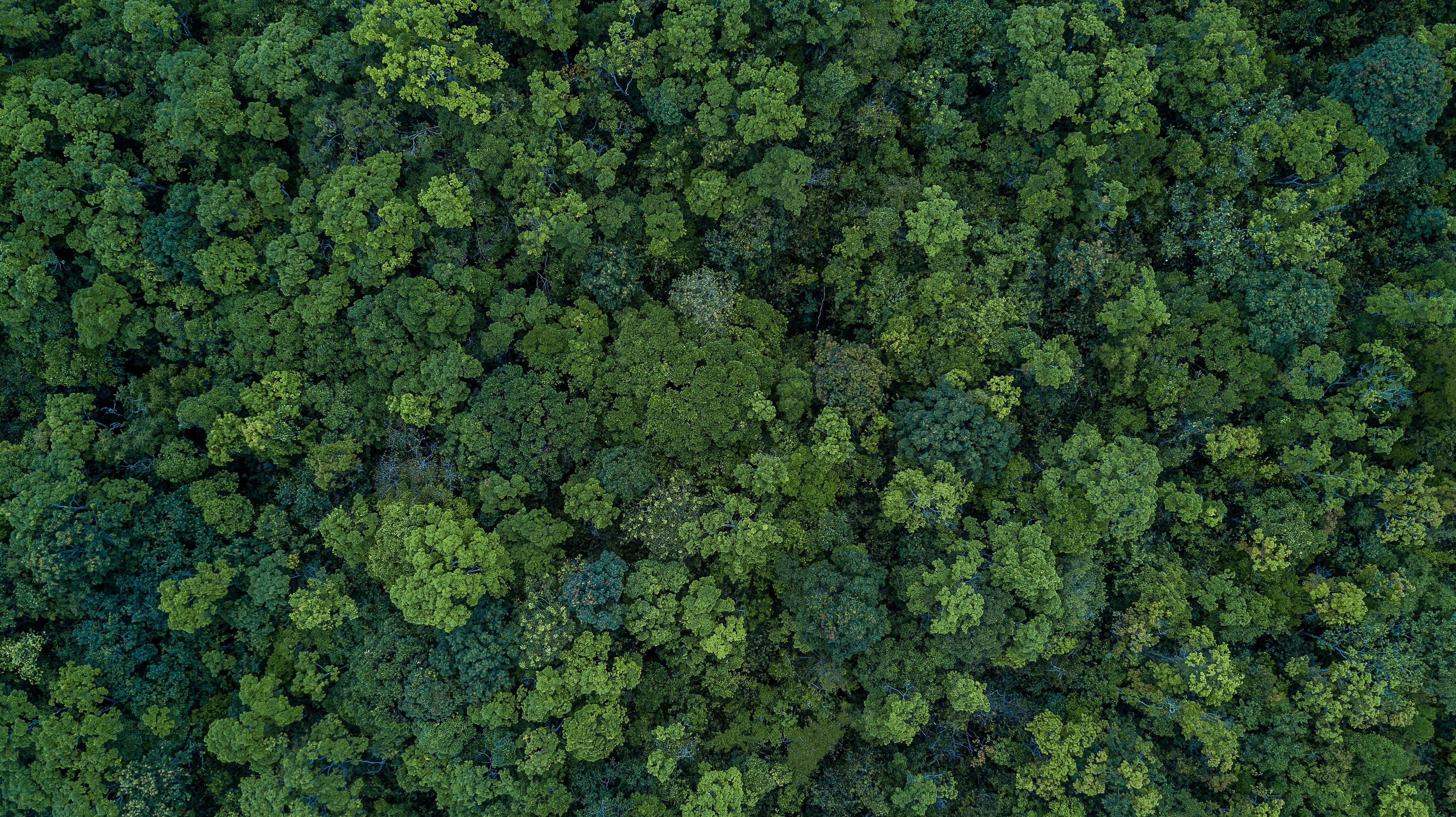 ISO 14001:2026 Foundation Course
