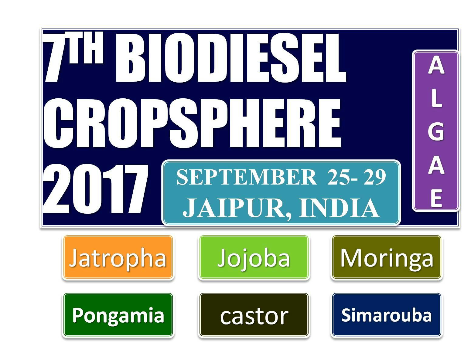 Global Biodiesel Cropsphere: Nonfood Biodiesel Crop & Technology Training Programme