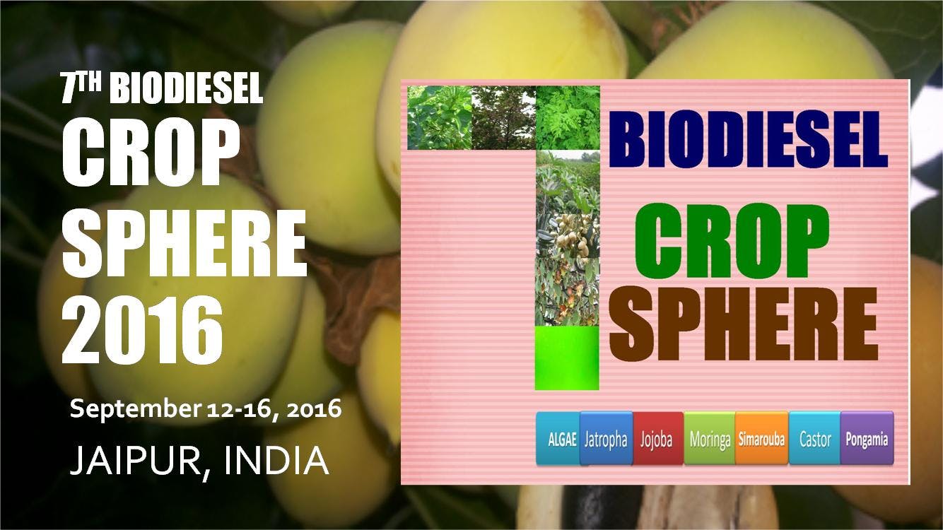 7th Biodiesel CropSphere 2016