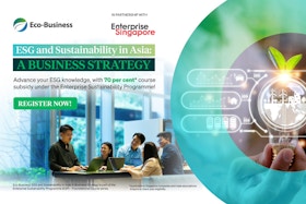 ESG and sustainability in Asia: A business strategy