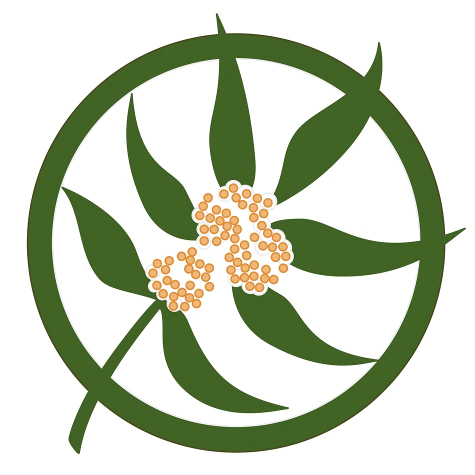 Healthy Plants - Healthy Communities