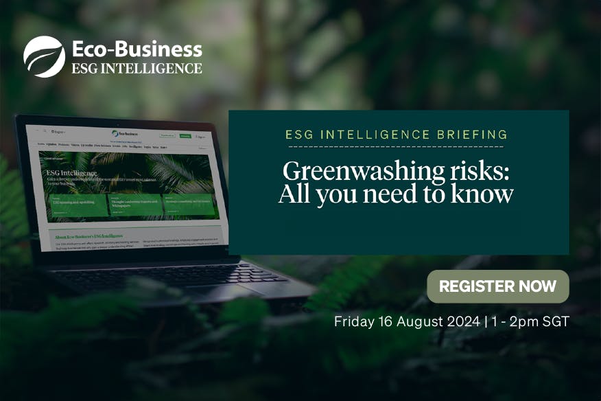 Greenwashing risks: All you need to know