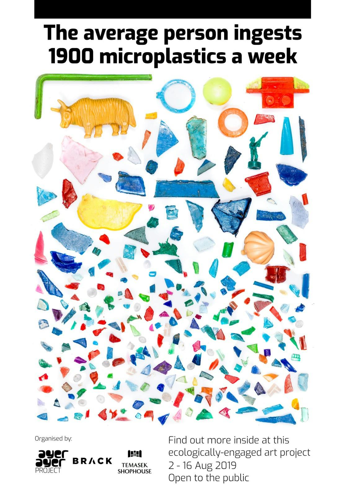 Experience Ayer Ayer Project - Environmental Awareness and Action Through Art and Science at Temasek Shophouse