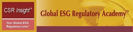 ESG Issues on the Board Agenda