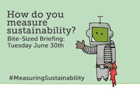 Bitesized Briefing - Measuring Sustainability