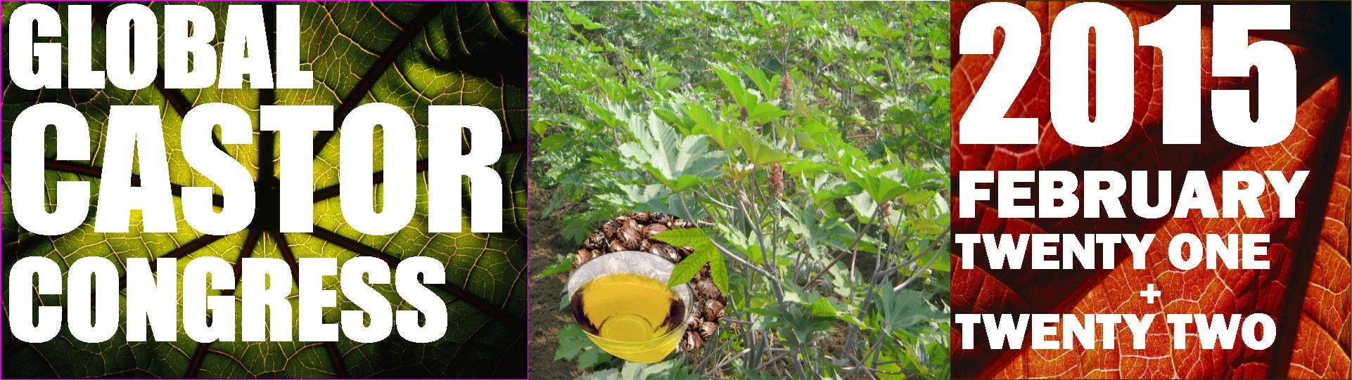 Global Castor Congress 2015