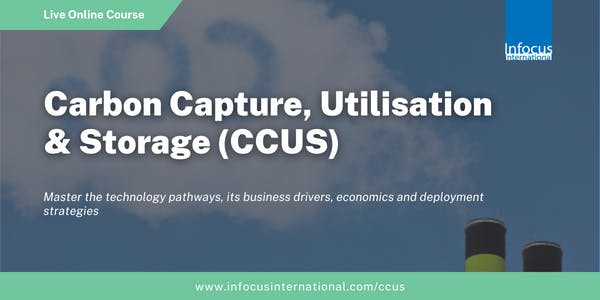 Carbon Capture, Utilisation and Storage (CCUS) November Virtual Training