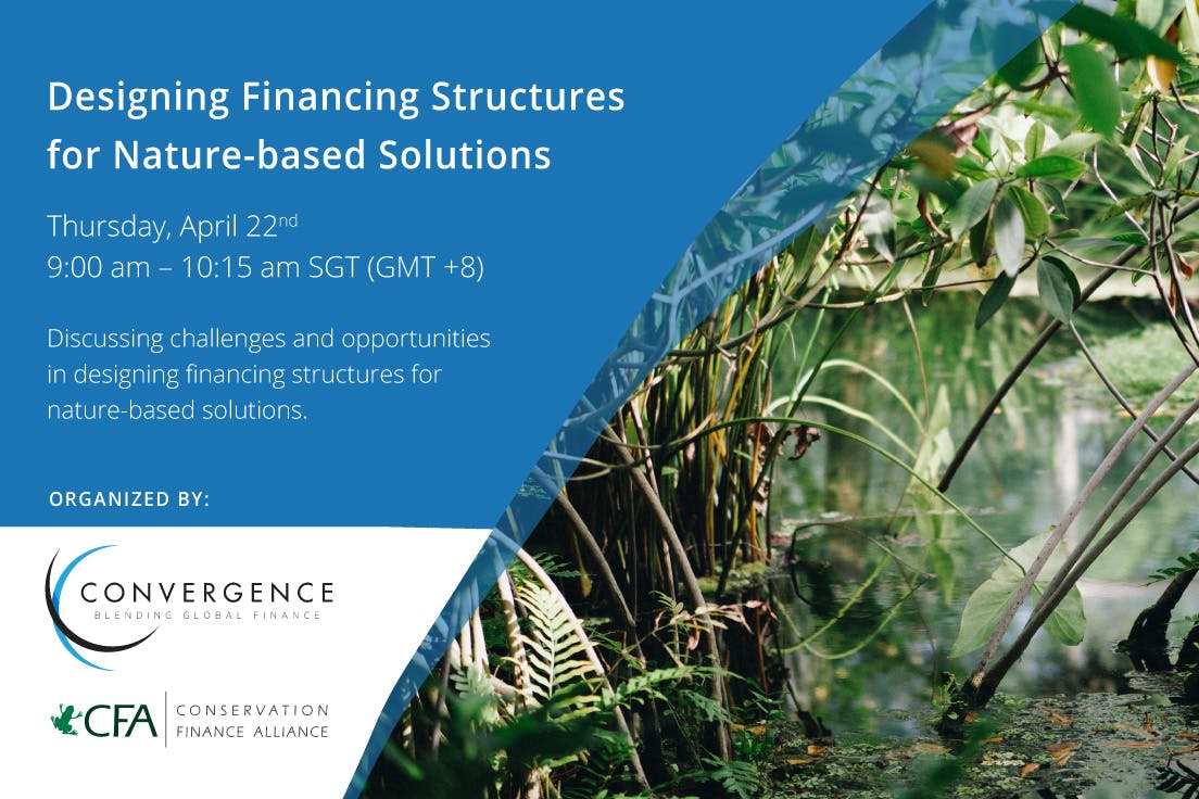Designing financing structures for nature-based solutions