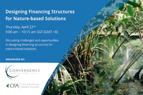 Designing financing structures for nature-based solutions