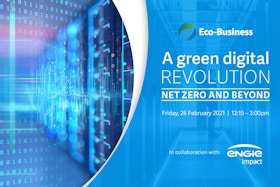 A green digital revolution: Net zero and beyond