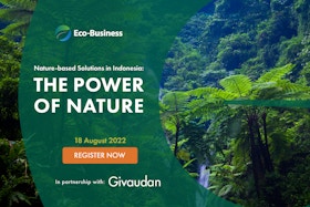 Nature-based solutions in Indonesia: the power of nature