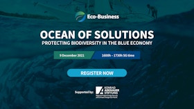 Ocean of Solutions: Protecting biodiversity in the blue economy