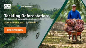 Tackling deforestation: Mobilising multi-commodities landscape collaboration