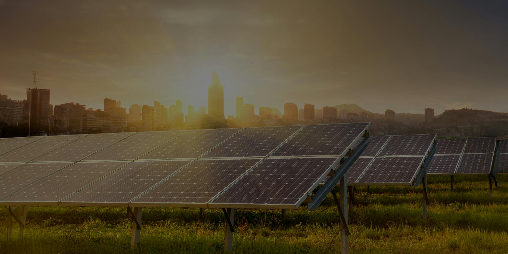 Sharpening the ESG focus: Understanding Asia's key ESG developments in 2025