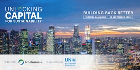 Unlocking capital for sustainability 2020