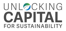 Unlocking capital for sustainability 2021