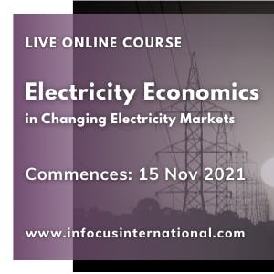 Electricity economics in changing electricity markets live online course